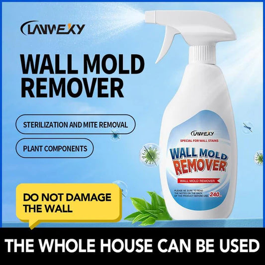 ⏰Highly Effective Mould Removal Spray | 🔥Buy 1 Get 1 Free🔥