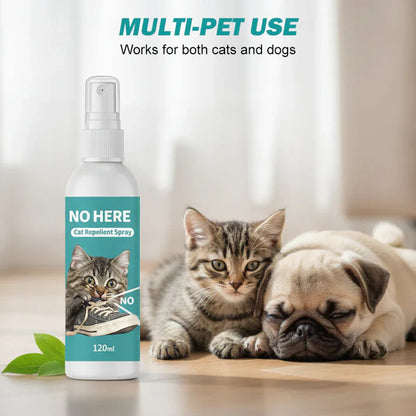 Cat Repellent Spray for Indoor Use